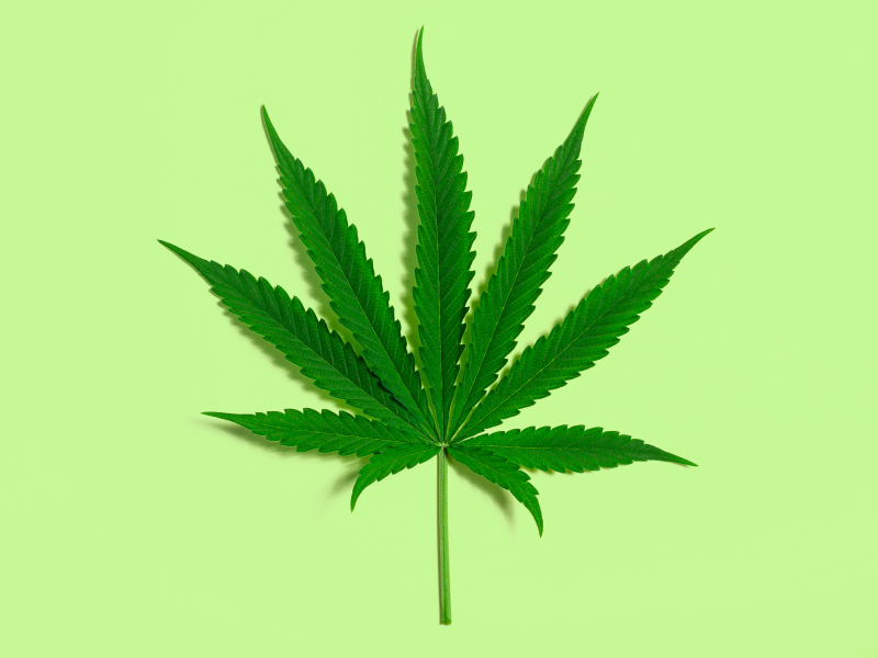 Marijuana weed